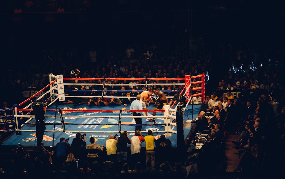 Arena view